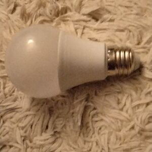 Secret hideaway light bulb